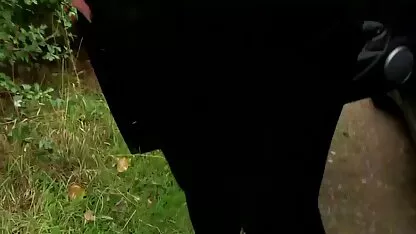 بلیط زندگی لوکس داستان سکس تصویری جالب